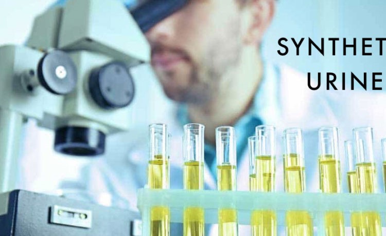 Synthetic Urine On Amazon Sherrill Point Fort Myers FL